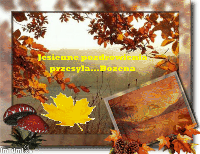 Jesienne pozdrowienia od Bożeny żółty liść